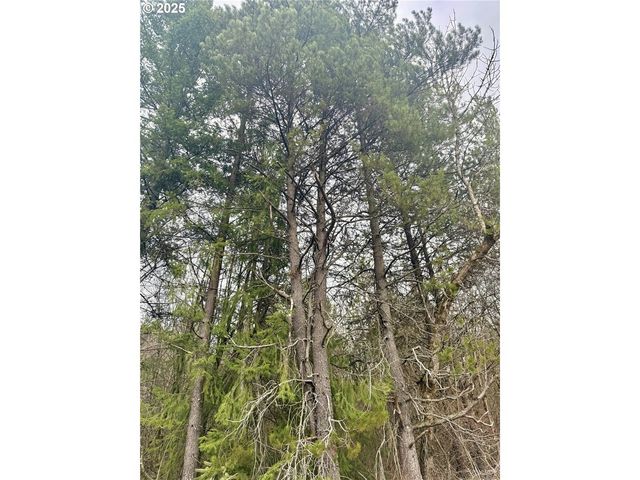 298 BOONE Rd, Toledo, WA 98591