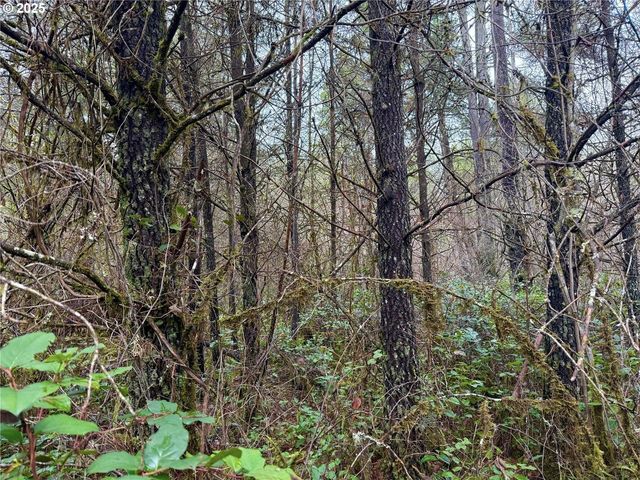 298 BOONE Rd, Toledo, WA 98591