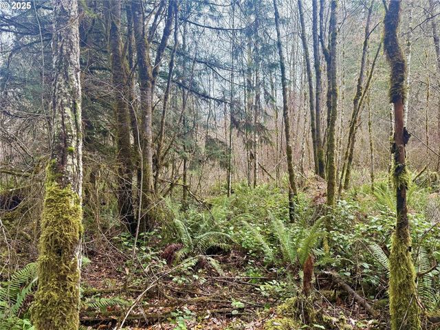 298 BOONE Rd, Toledo, WA 98591