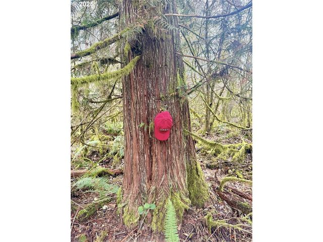 298 BOONE Rd, Toledo, WA 98591