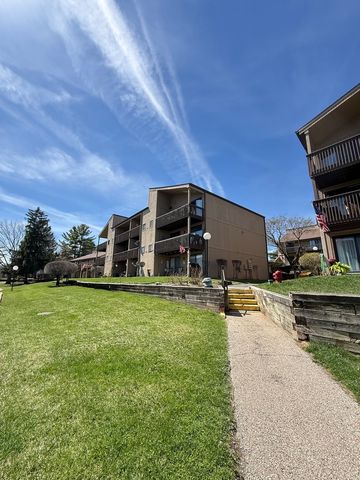 58 Vail Colony 9, Fox Lake, IL 60020