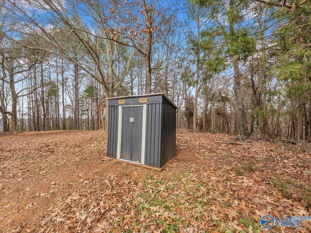 200 Lois Lane, Langston, AL 35755