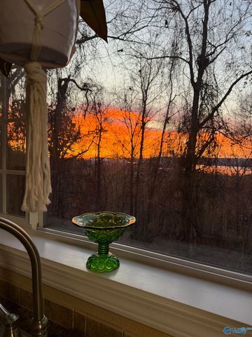 200 Lois Lane, Langston, AL 35755