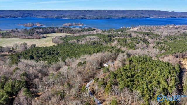 200 Lois Lane, Langston, AL 35755