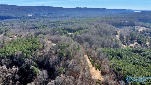 200 Lois Lane, Langston, AL 35755