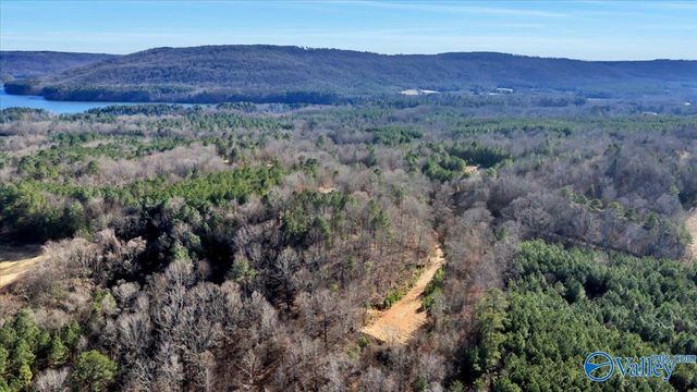 200 Lois Lane, Langston, AL 35755