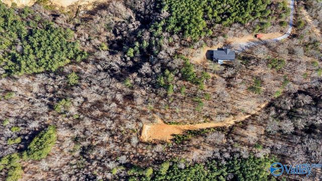 200 Lois Lane, Langston, AL 35755