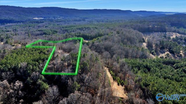 200 Lois Lane, Langston, AL 35755