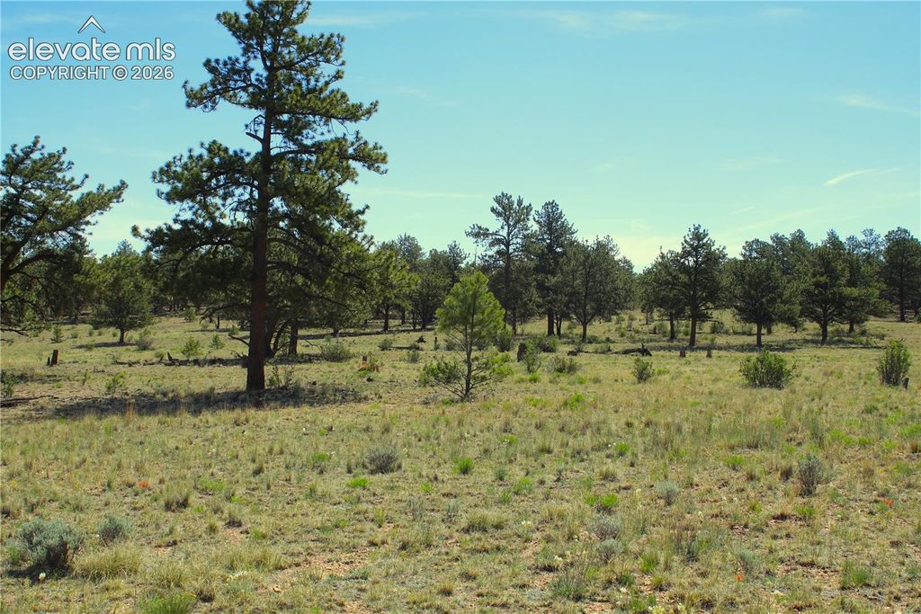 31572 Highway 9, Fairplay, CO 80449 — exterior
