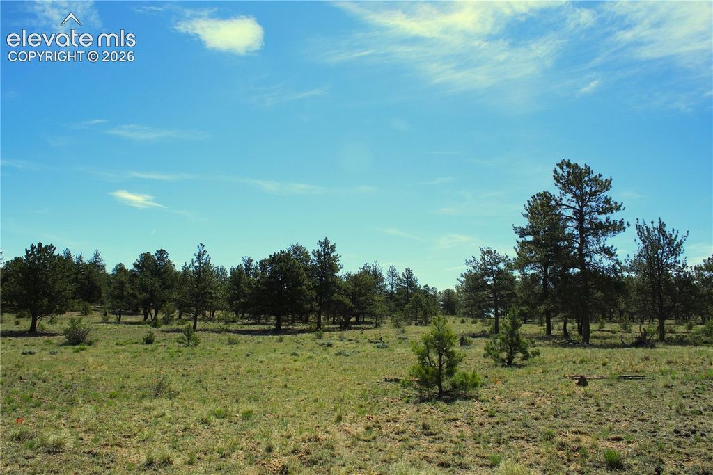 31572 Highway 9, Fairplay, CO 80449 — photo 5