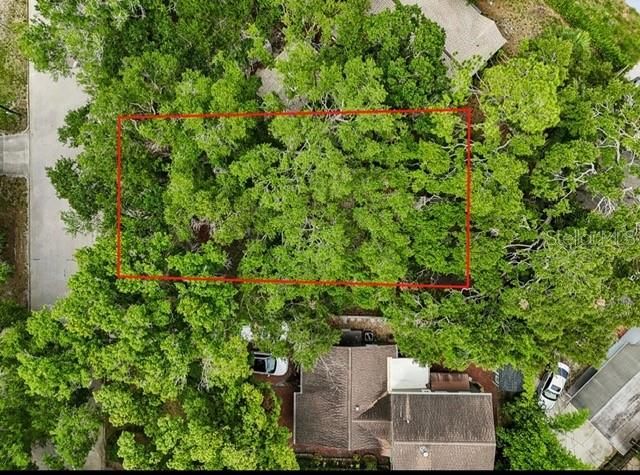 930 MONTROSE BOULEVARD N, St Petersburg, FL 33703