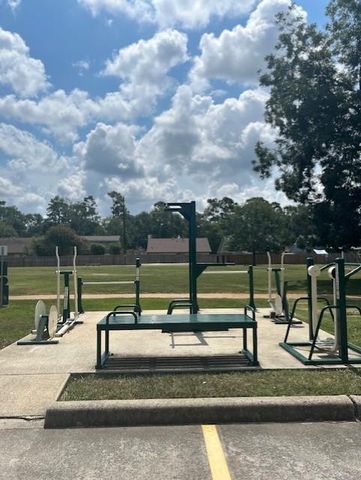 23235 Earlmist Drive, Spring, TX 77373