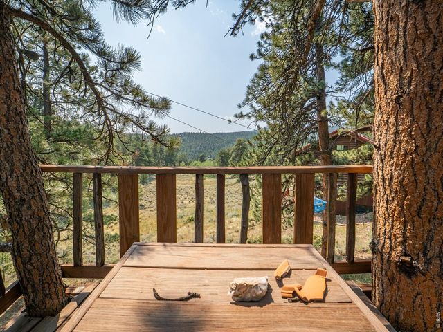 296 Caddo Rd, Red Feather Lakes, CO 80545