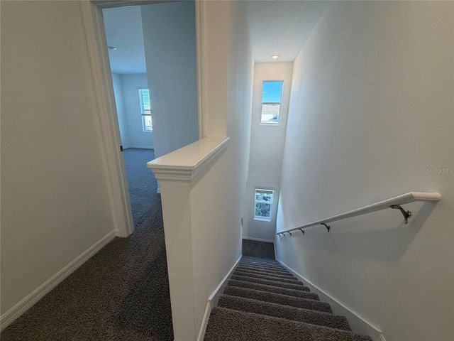 17212 ENGLISH CHESTNUT WAY, Land O Lakes, FL 34638