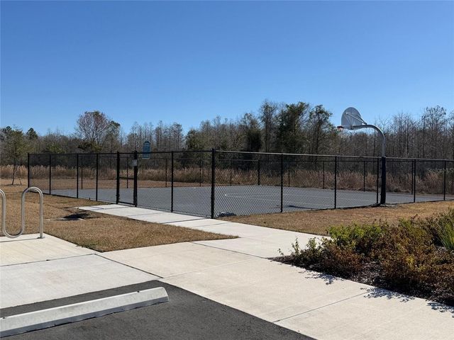 17212 ENGLISH CHESTNUT WAY, Land O Lakes, FL 34638