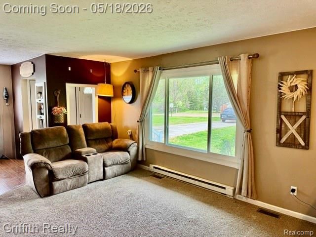 3148 Hogback Road, Handy Township, MI 48836