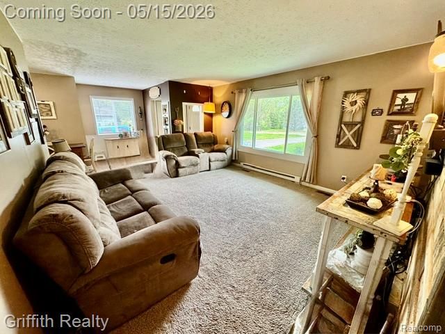 3148 Hogback Road, Handy Township, MI 48836