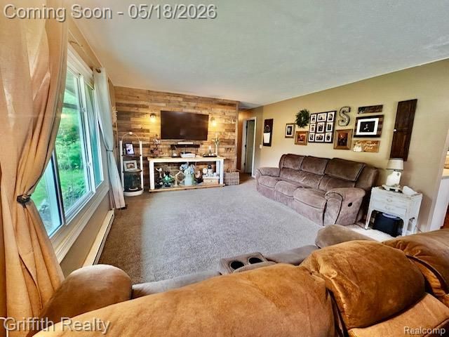 3148 Hogback Road, Handy Township, MI 48836