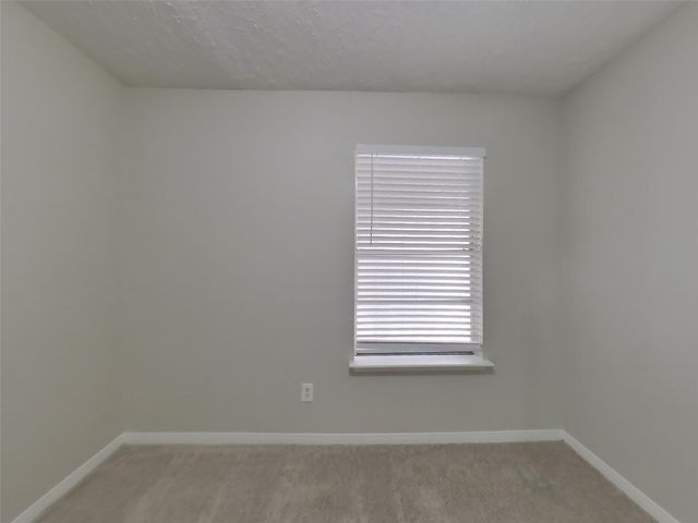 16307 Bird Dog Drive, Houston, TX 77489