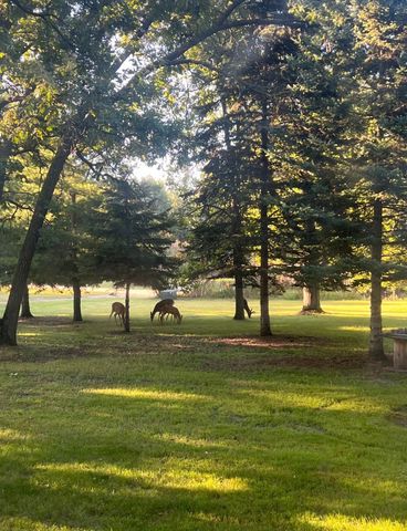 13160 176th Street, Wadena, MN 56482