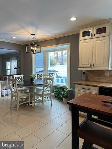 20408 ALTAVISTA WAY, Ashburn, VA 20147