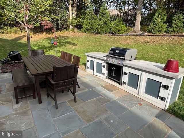 20408 ALTAVISTA WAY, Ashburn, VA 20147