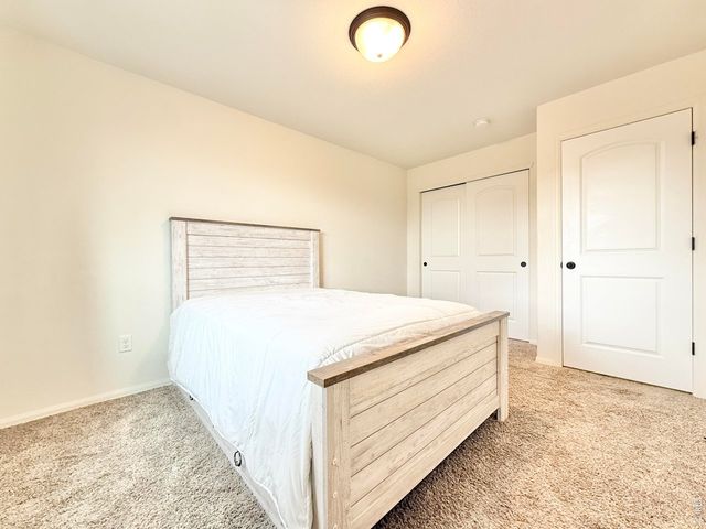 1006 Muntjac St, Severance, CO 80550