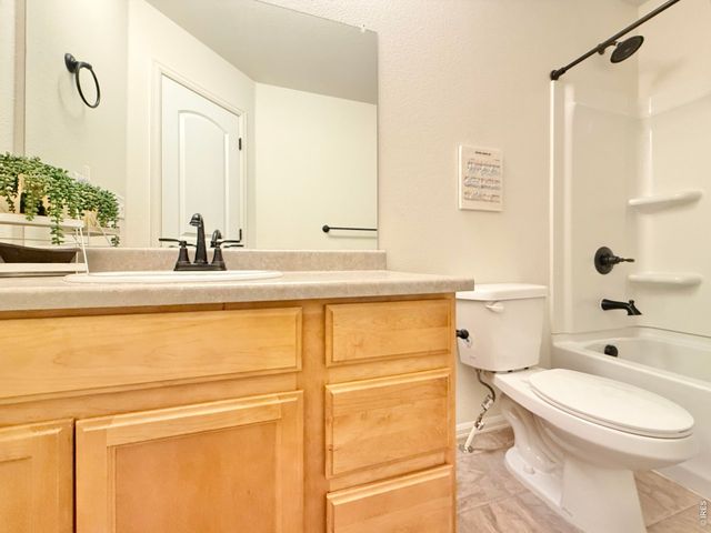 1006 Muntjac St, Severance, CO 80550