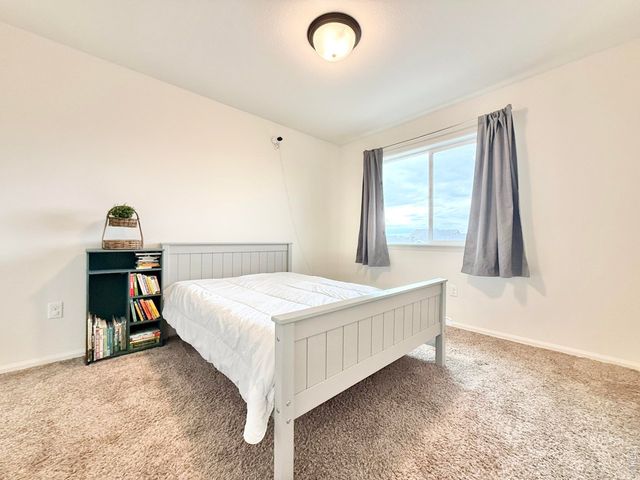 1006 Muntjac St, Severance, CO 80550