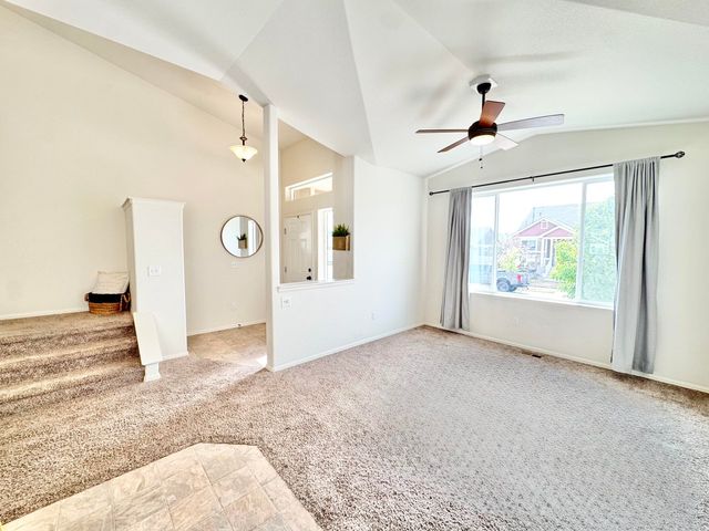 1006 Muntjac St, Severance, CO 80550