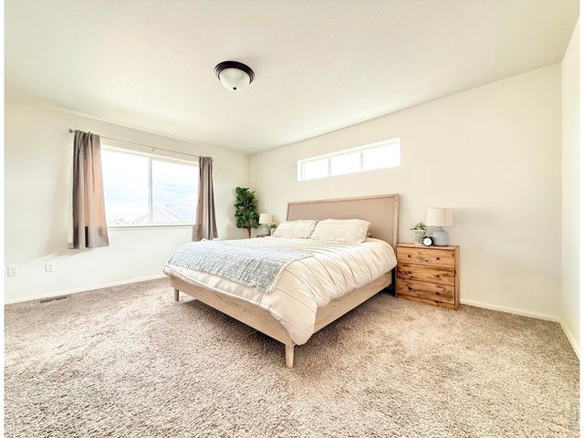 1006 Muntjac St, Severance, CO 80550