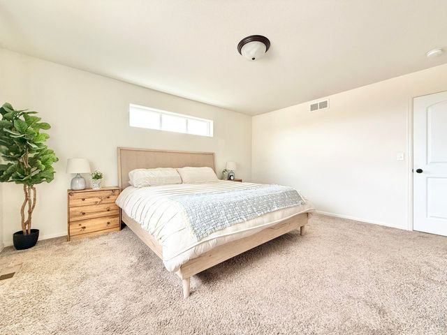 1006 Muntjac St, Severance, CO 80550