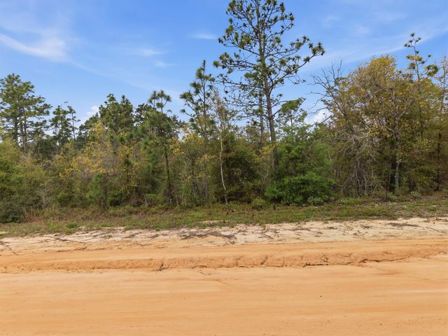 TBD Channel Drive, Alford, FL 32420