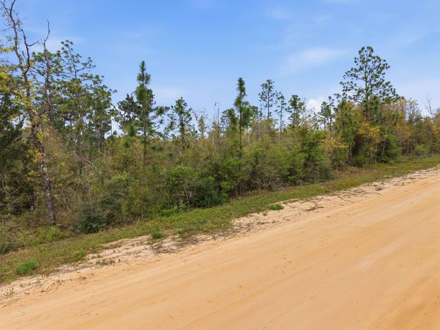 TBD Channel Drive, Alford, FL 32420