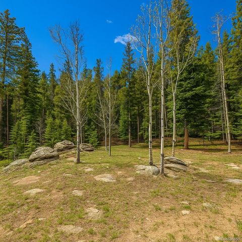 33606 Gap Road, Golden, CO 80403