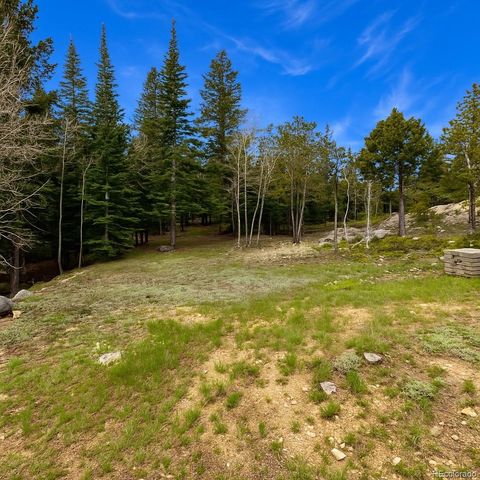 33606 Gap Road, Golden, CO 80403