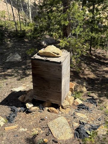 33606 Gap Road, Golden, CO 80403