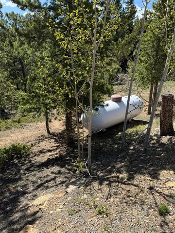 33606 Gap Road, Golden, CO 80403