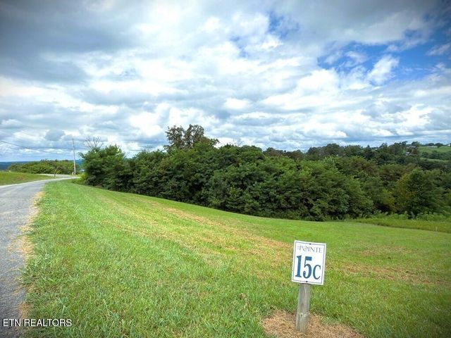 15 Swan Ridge Rd, Hilham, TN 38568