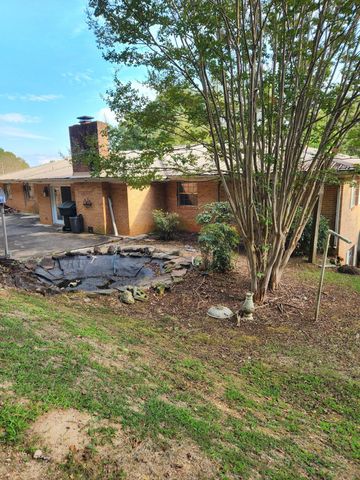 310 Hill Top Drive, Niota, TN 37826