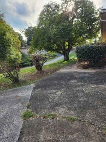 310 Hill Top Drive, Niota, TN 37826