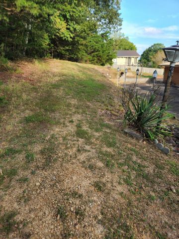 310 Hill Top Drive, Niota, TN 37826