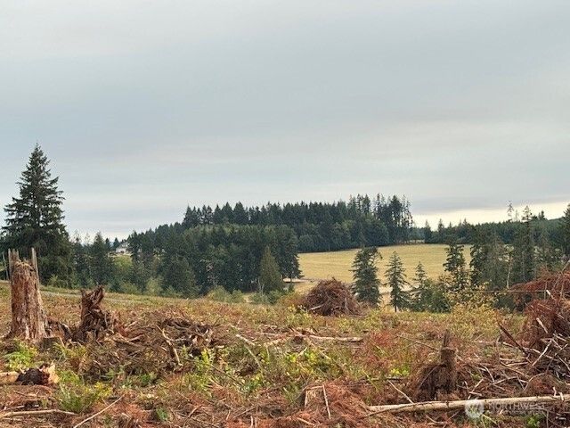 120 Woodberry Lane, Winlock, WA 98596