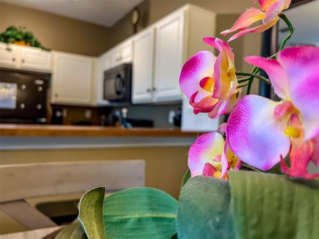 2837 OAKWATER DRIVE 2837, Kissimmee, FL 34747