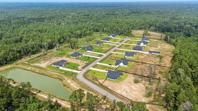 15036 Tybee Lane, Conroe, TX 77306