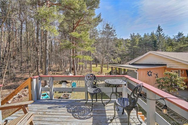 7780 Irish Hill Road, Ellicottville, NY 14171