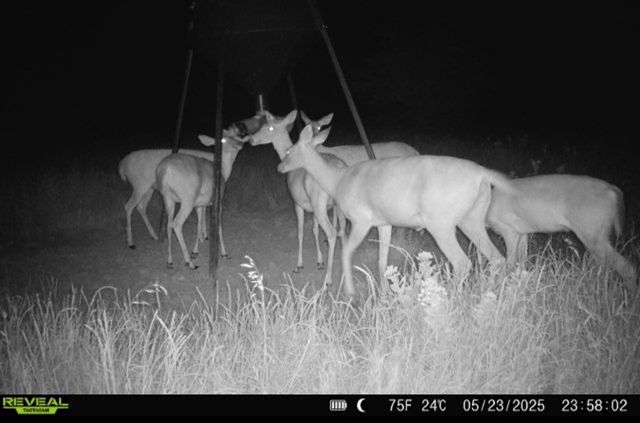 999-2 CR3805, Bailey, TX 75413