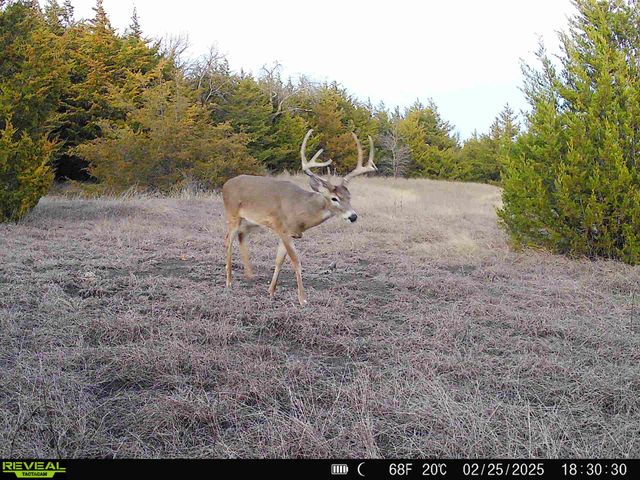 999-2 CR3805, Bailey, TX 75413
