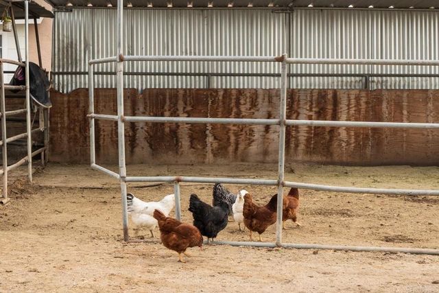 182 Sawday Rd, Ramona, CA 92065