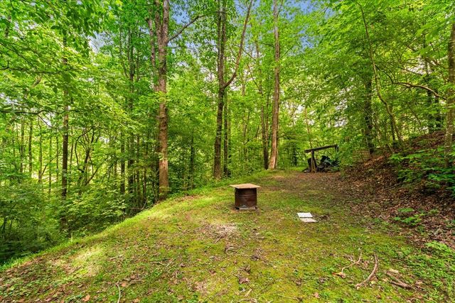1178 Swan Bridge Road, Talking Rock, GA 30175